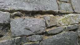 acastle
                          109965.jpg